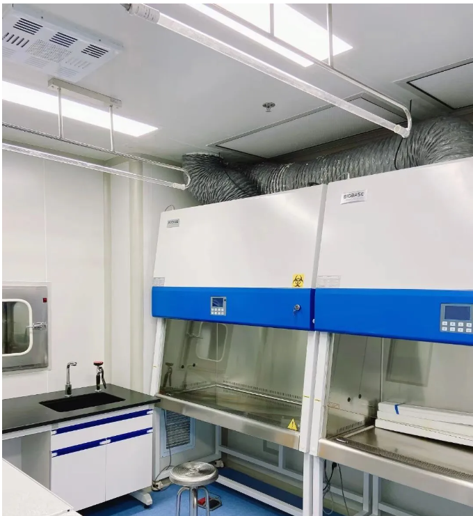 ��ʲôҪ������҃���